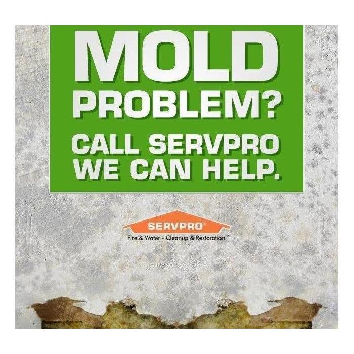 If you suspect that your home or business is experiencing a mold problem, contact SERVPRO of Naperville at (630)-428-3700