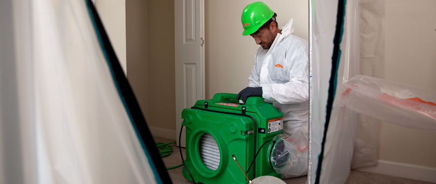Naperville, IL mold cleanup